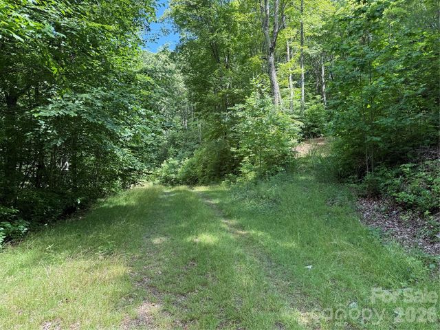 999 Hawks Nest Drive 86, Burnsville, NC 28714