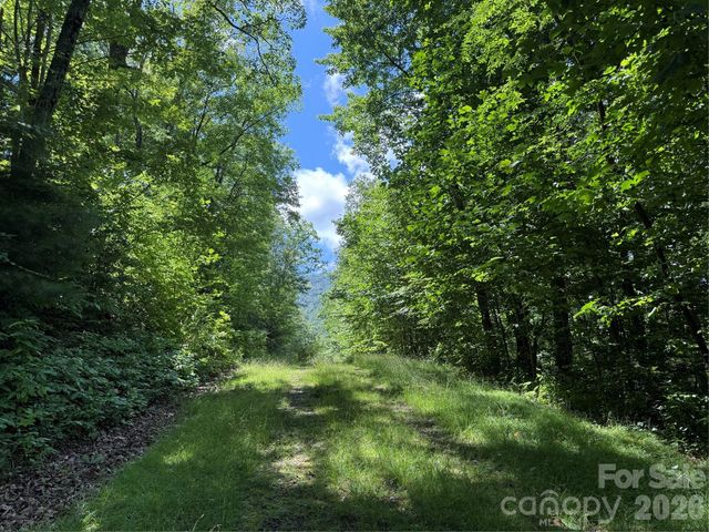 999 Hawks Nest Drive 86, Burnsville, NC 28714