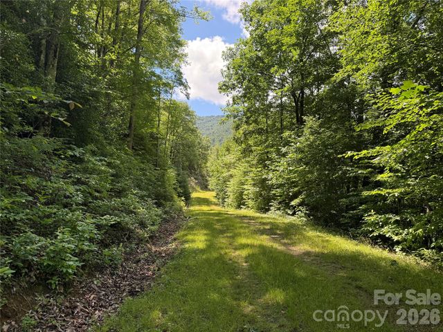 999 Hawks Nest Drive 86, Burnsville, NC 28714