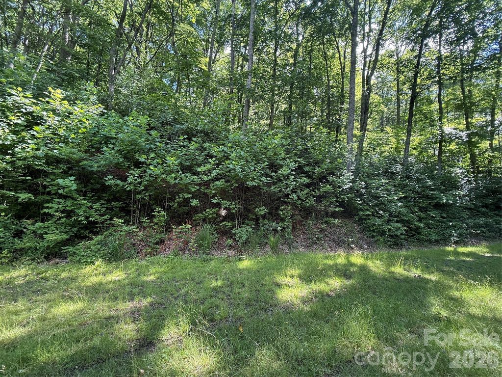 999 Hawks Nest Drive 86, Burnsville, NC 28714