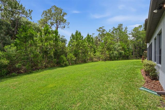 4441 ALBERO PLACE, Wesley Chapel, FL 33543