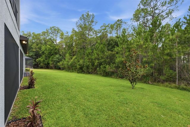 4441 ALBERO PLACE, Wesley Chapel, FL 33543