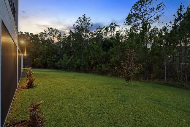 4441 ALBERO PLACE, Wesley Chapel, FL 33543