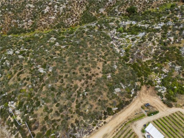 1 Gray Squirrel, Temecula, CA 92592