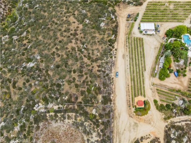 1 Gray Squirrel, Temecula, CA 92592