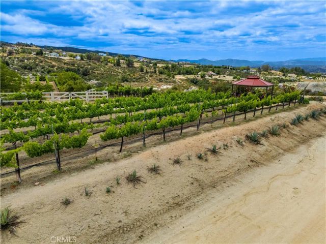 1 Gray Squirrel, Temecula, CA 92592