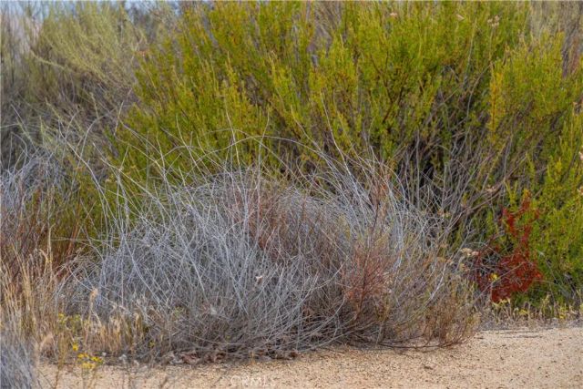 1 Gray Squirrel, Temecula, CA 92592