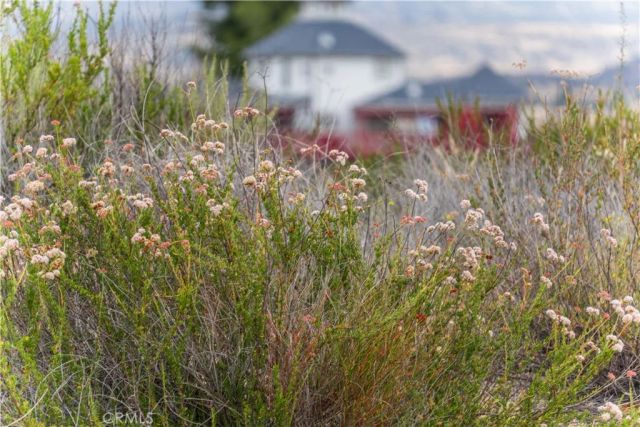 1 Gray Squirrel, Temecula, CA 92592
