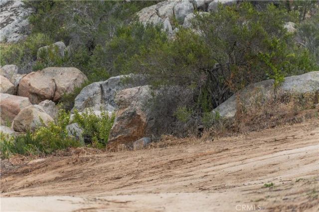 1 Gray Squirrel, Temecula, CA 92592