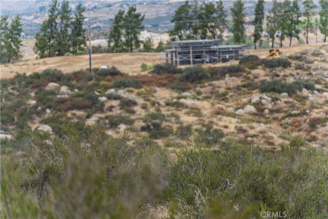 1 Gray Squirrel, Temecula, CA 92592