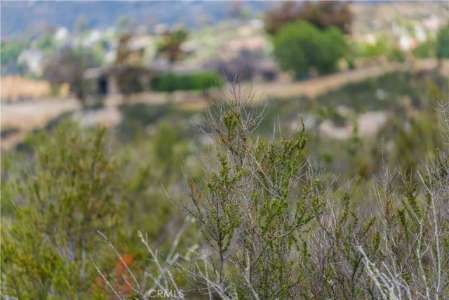 1 Gray Squirrel, Temecula, CA 92592