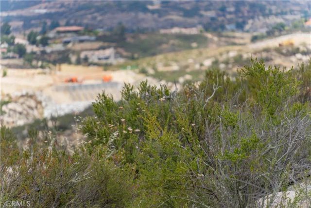 1 Gray Squirrel, Temecula, CA 92592