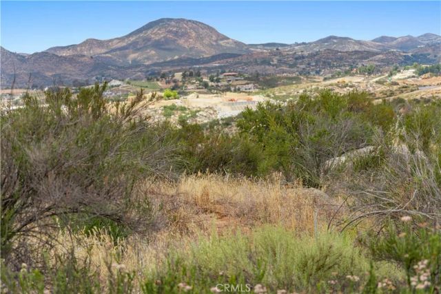 1 Gray Squirrel, Temecula, CA 92592