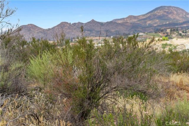 1 Gray Squirrel, Temecula, CA 92592