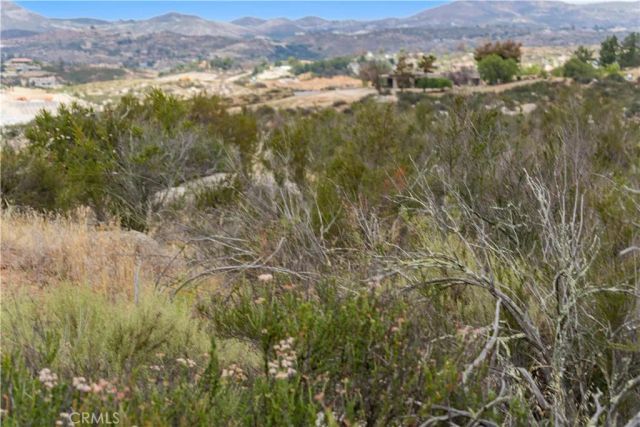 1 Gray Squirrel, Temecula, CA 92592