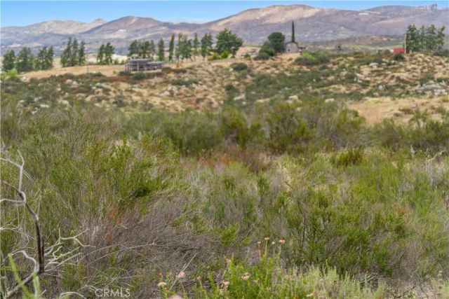 1 Gray Squirrel, Temecula, CA 92592