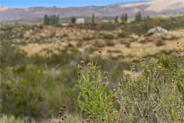 1 Gray Squirrel, Temecula, CA 92592