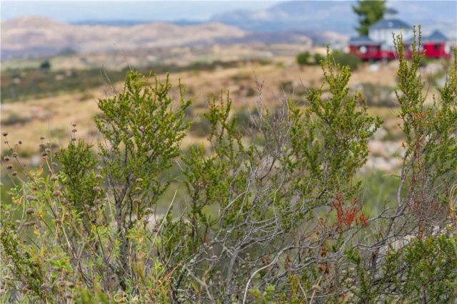 1 Gray Squirrel, Temecula, CA 92592
