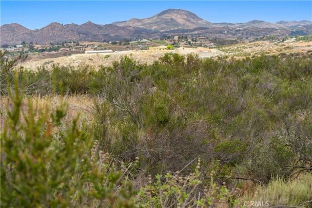 1 Gray Squirrel, Temecula, CA 92592
