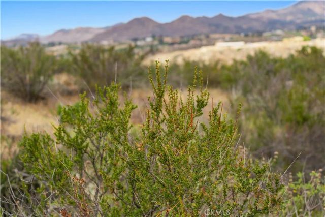 1 Gray Squirrel, Temecula, CA 92592