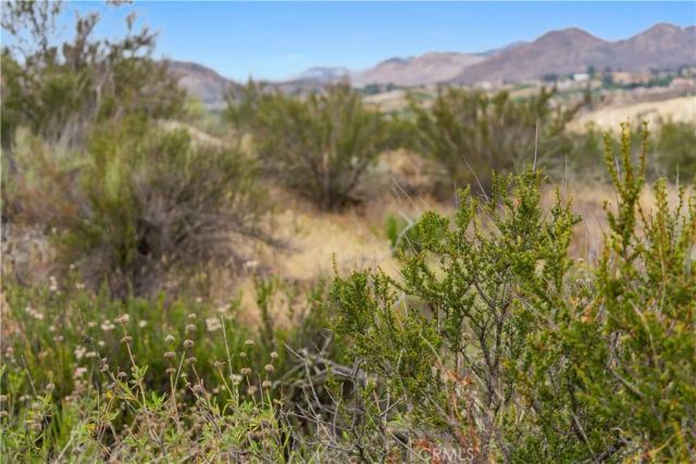 1 Gray Squirrel, Temecula, CA 92592