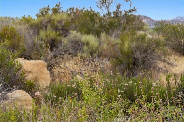 1 Gray Squirrel, Temecula, CA 92592