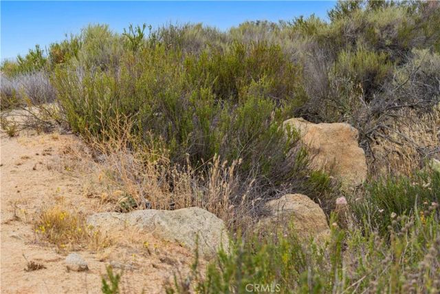 1 Gray Squirrel, Temecula, CA 92592