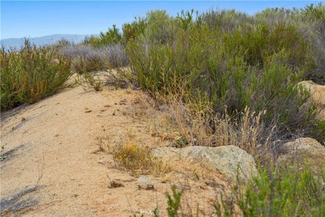 1 Gray Squirrel, Temecula, CA 92592