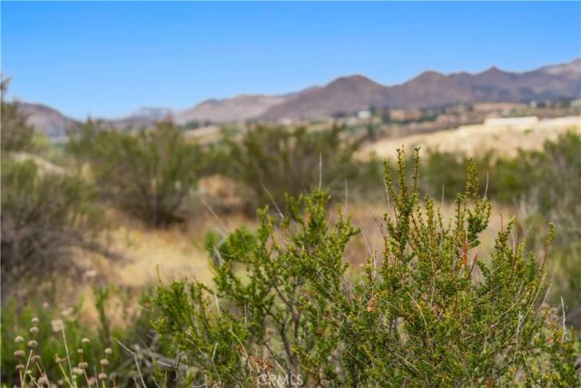 1 Gray Squirrel, Temecula, CA 92592