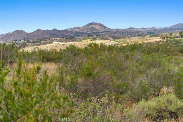 1 Gray Squirrel, Temecula, CA 92592