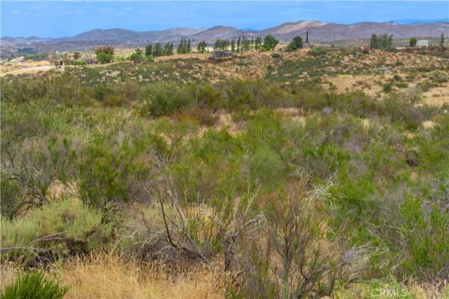 1 Gray Squirrel, Temecula, CA 92592