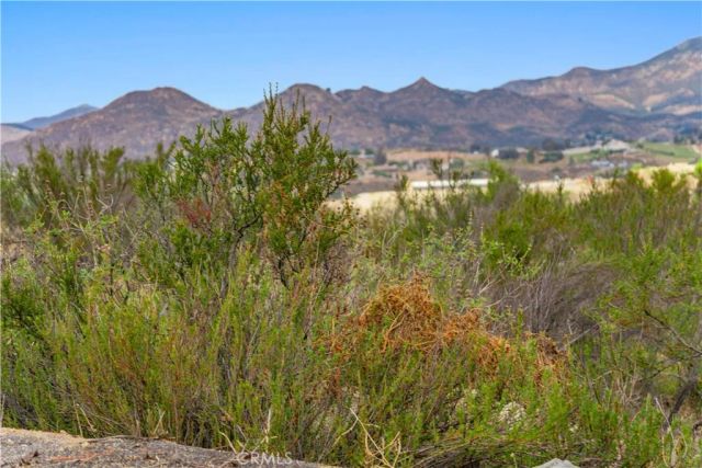 1 Gray Squirrel, Temecula, CA 92592