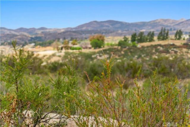 1 Gray Squirrel, Temecula, CA 92592