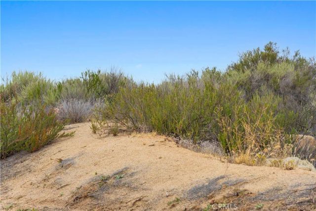 1 Gray Squirrel, Temecula, CA 92592