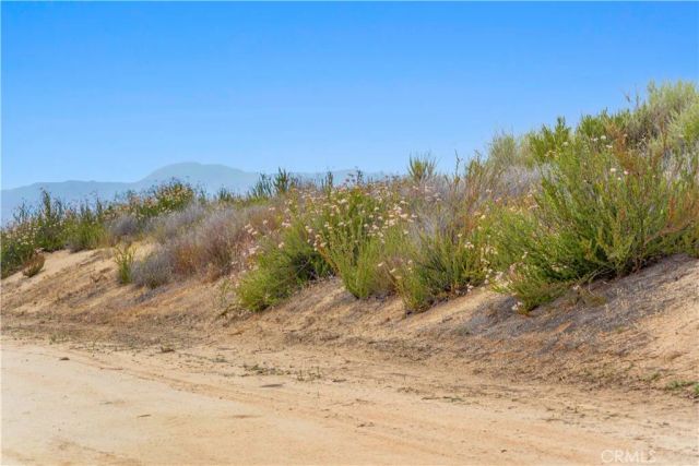 1 Gray Squirrel, Temecula, CA 92592
