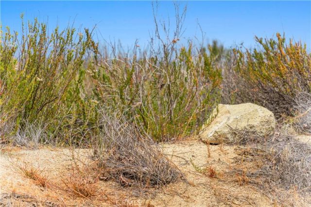 1 Gray Squirrel, Temecula, CA 92592