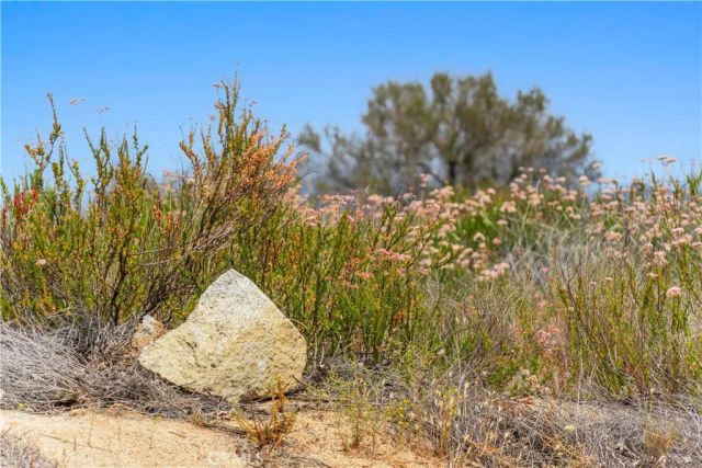 1 Gray Squirrel, Temecula, CA 92592