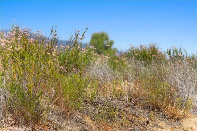 1 Gray Squirrel, Temecula, CA 92592