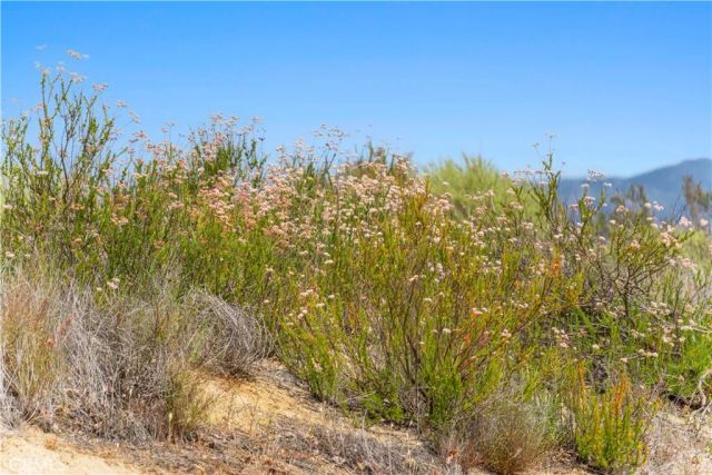 1 Gray Squirrel, Temecula, CA 92592