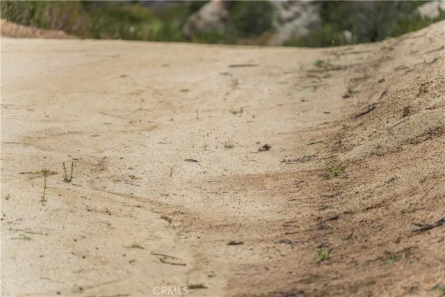 1 Gray Squirrel, Temecula, CA 92592