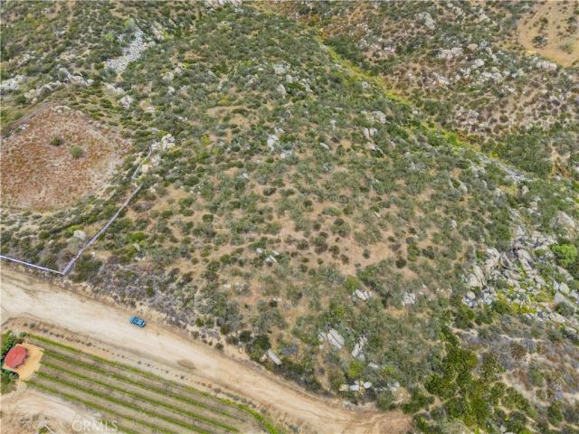 1 Gray Squirrel, Temecula, CA 92592