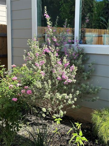 202 Big Sandy Creek DR, Hutto, TX 78634