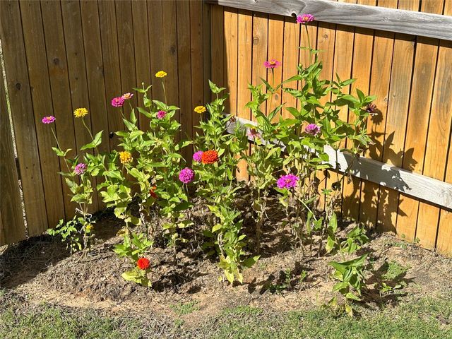 202 Big Sandy Creek DR, Hutto, TX 78634