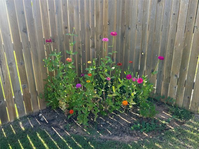 202 Big Sandy Creek DR, Hutto, TX 78634