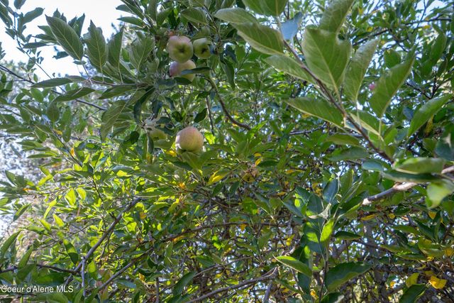 66 Juniper Ln, Naples, ID 83847