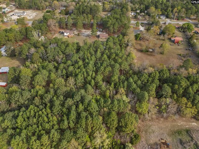 55 Crystal Springs Drive, Lexington, SC 29073