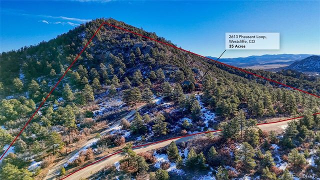 2613 Pheasant Loop, Westcliffe, CO 81252