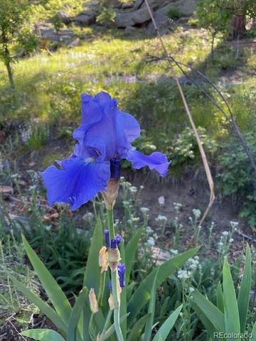 2613 Pheasant Loop, Westcliffe, CO 81252