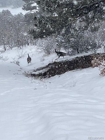 2613 Pheasant Loop, Westcliffe, CO 81252