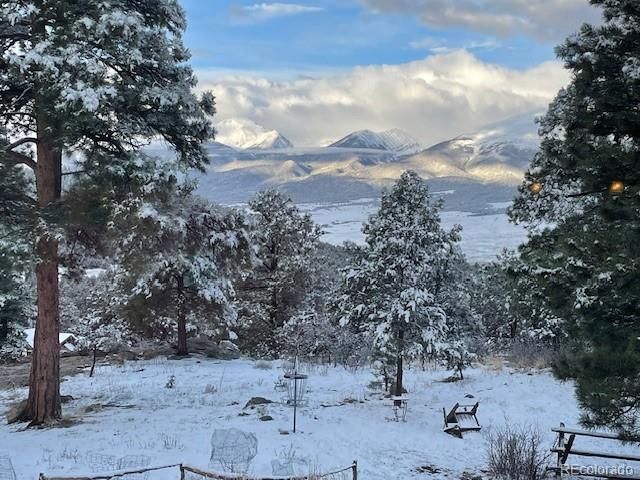 2613 Pheasant Loop, Westcliffe, CO 81252